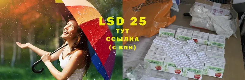 как найти закладки  Кстово  LSD-25 экстази ecstasy 